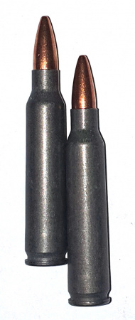 ТПЗ 5,56x45 FMJ 55gr бм (2)