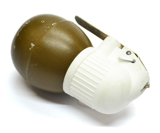 РГН 1